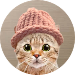 CatWifHat Лого