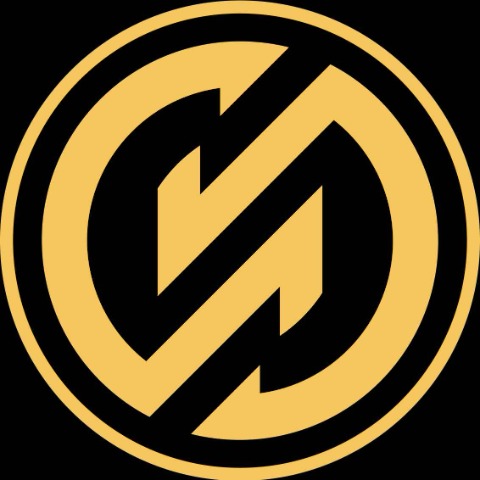 Logo de GoldZip