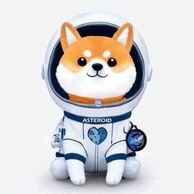 ASTEROID SHIBA
