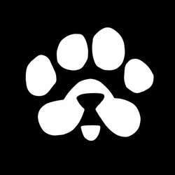 PAWS Price Prediction