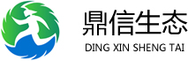 DXST