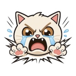 Logo CRASH CAT