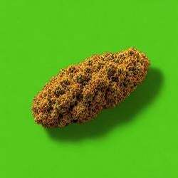 Nuggies 圖標