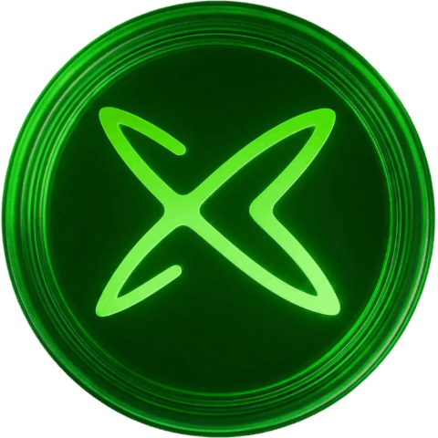 xPayLink 圖標