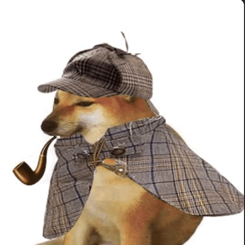 pipedog 圖標