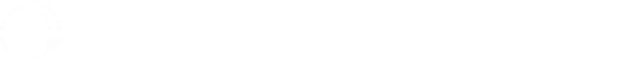 Pearl Diver Credit Company Inc.