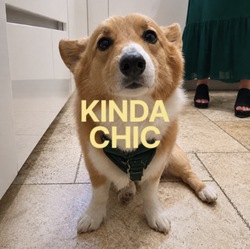 Логотип Kinda Chic