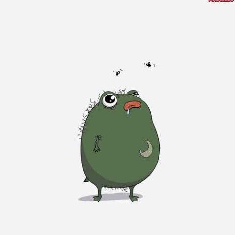 Pistacio