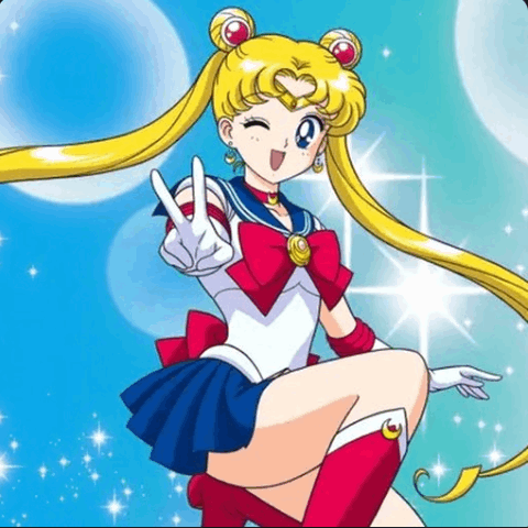 SAYLORMOON Logo