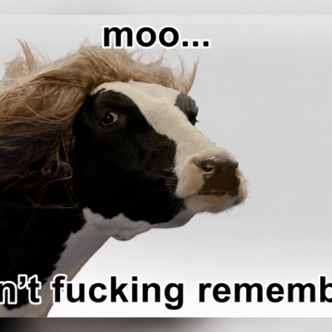 Memory cow Moo Logo