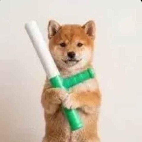 baton 圖標