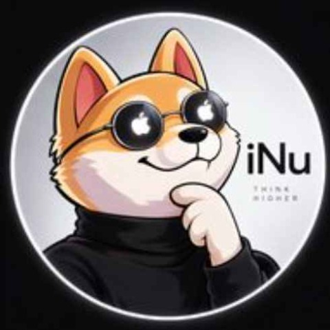iNu Logo