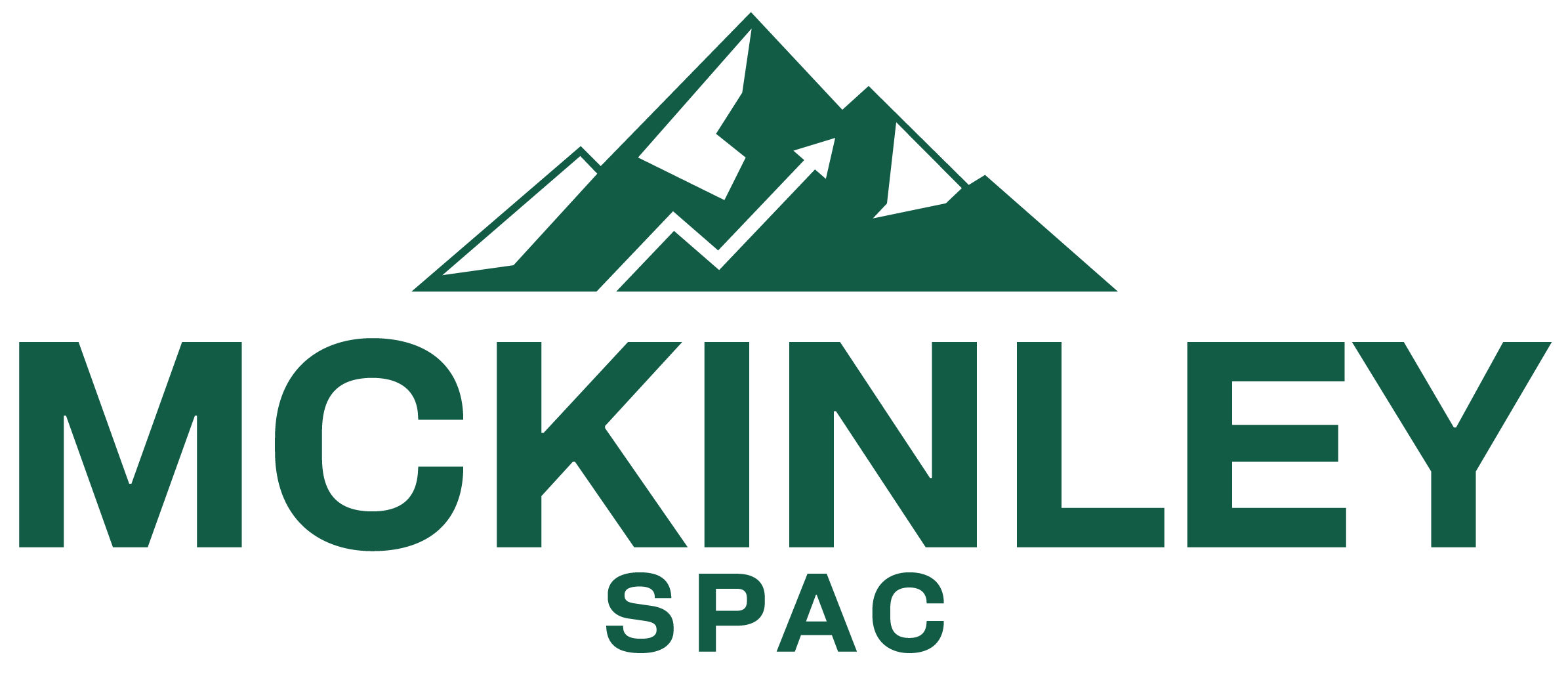 McKinley Acquisition Corporation