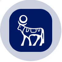 NVOON/USDT